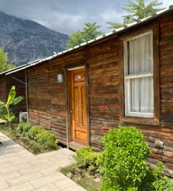 Lime Tree Houses