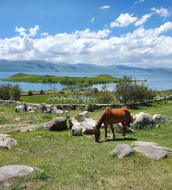 Akçakale Kamp Alanı