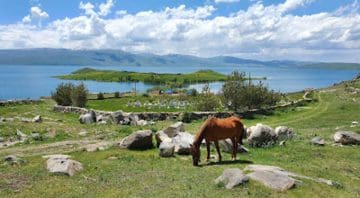 Akçakale Kamp Alanı