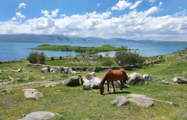 Akçakale Kamp Alanı