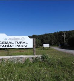 Cemal Tural Tabiat Parkı Kamp Alanı