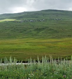 Damal Kamp Alanı