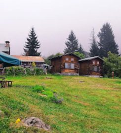 Ayder Camping