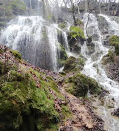 Ayngebire Piknik Alanı