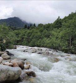 Galer Düzü Kamp Alanı