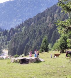 Galer Düzü Kamp Alanı