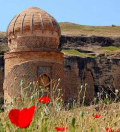 Hasankeyf Kamp Alanı