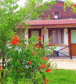 Albatros Beach Restaurant & Hotel