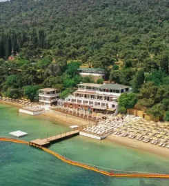 Ank’Ada Ayanikola