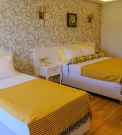 Assos Longevity Hotel