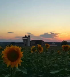 Bakucha Vineyard Hotel & Spa