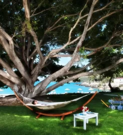 Marvel Tree Hotel