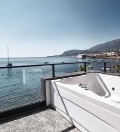 Casa Mimosa Hotel +12
