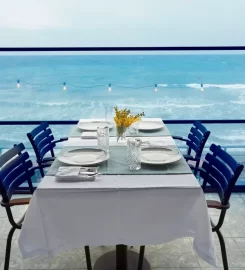 Casa Mimosa Hotel +12