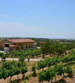 Dessera Bağ Evi