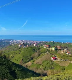 İnziva Bungalov