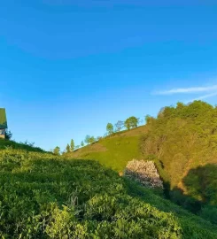 İnziva Bungalov