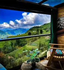 Organik Köy Bungalov