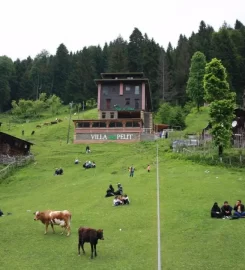 Ayder Villa de Pelit