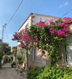Cunda Ilios