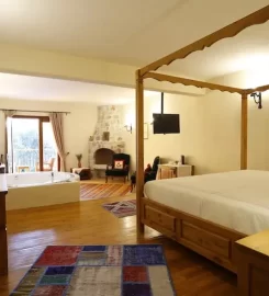 Mandarin & Mango Hotel